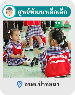 องค์การบริหารส่วนตำบลป่าก่อดำ (อบต.ป่าก่อดำ) 